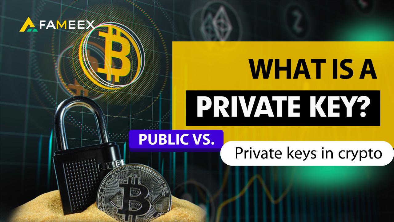 What Is A Private Key And Public Key Cryptography How To Store And How It Works 