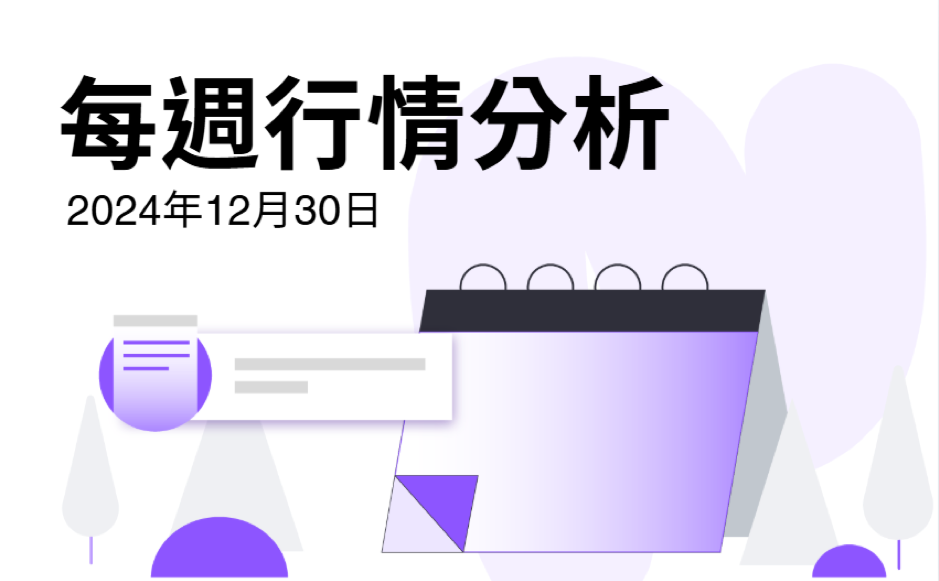 FameEX週间行情分析 | 12月30日, 2024